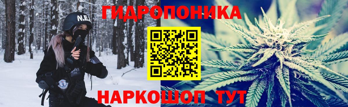 Бошки Шишки планчик  Аргун  Бошки марихуана гибрид  Бошки Шишки MAZAR 